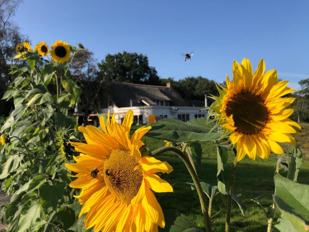 Villa Blauwhemel Diever Esterno foto