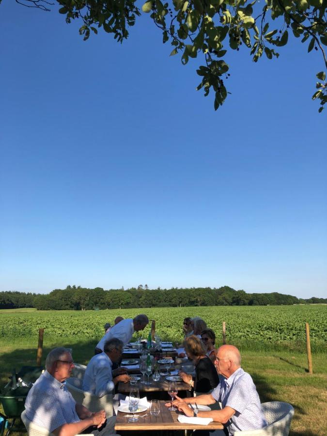 Villa Blauwhemel Diever Esterno foto